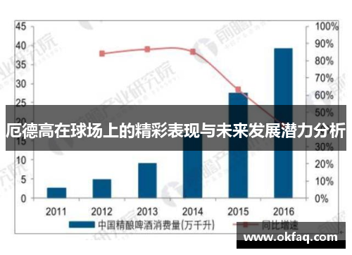 厄德高在球场上的精彩表现与未来发展潜力分析